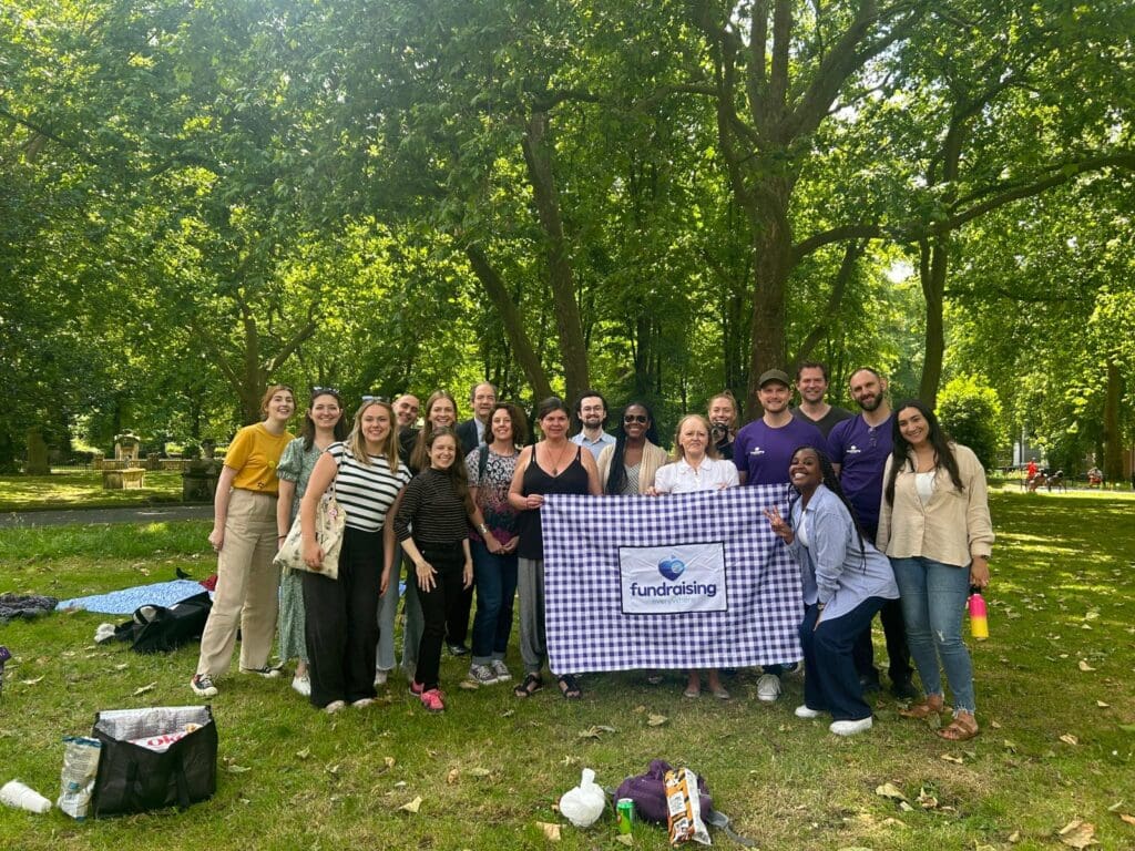 image of lots of fundraisers in a park behind a big picnic blanket with fundraising everywhere branding